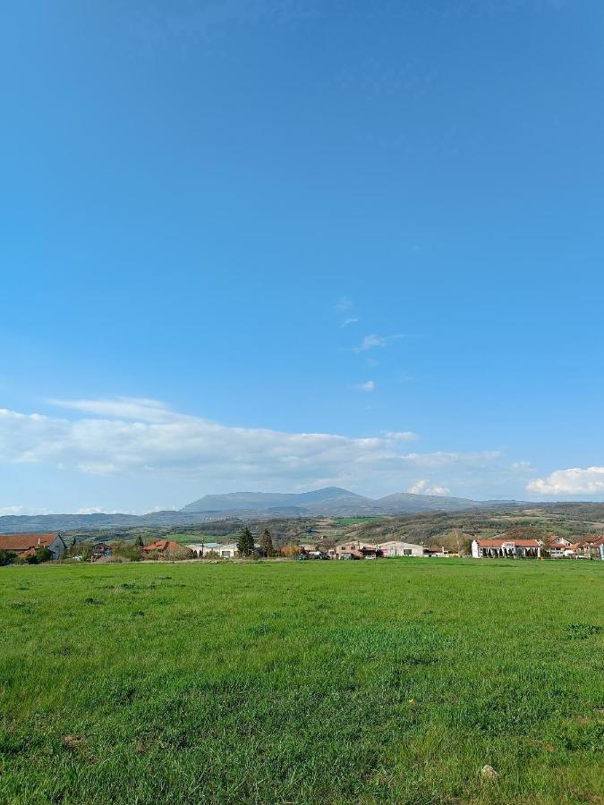 House Milovanovic Soko Banja Exterior foto