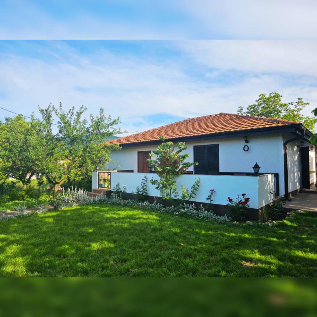 House Milovanovic Soko Banja Exterior foto