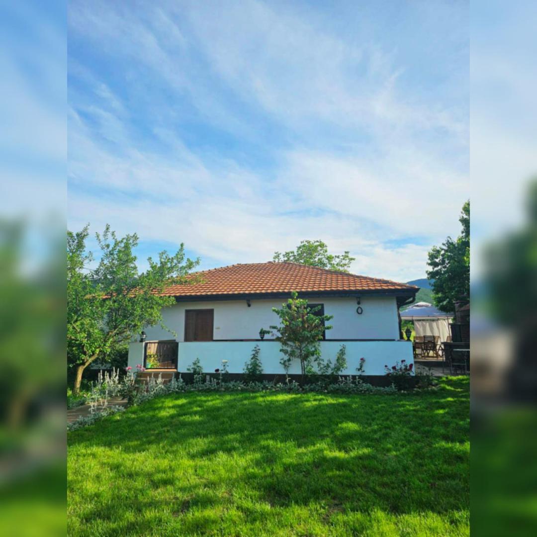 House Milovanovic Soko Banja Exterior foto